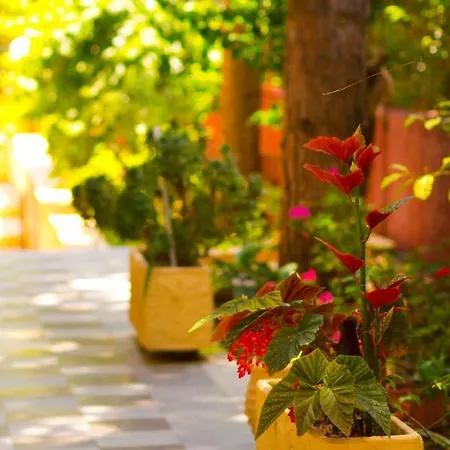 Apartahotel Pyrgaraki Studios&apartments Vasilikí