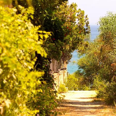 Apartahotel Pyrgaraki Studios&apartments Vasilikí