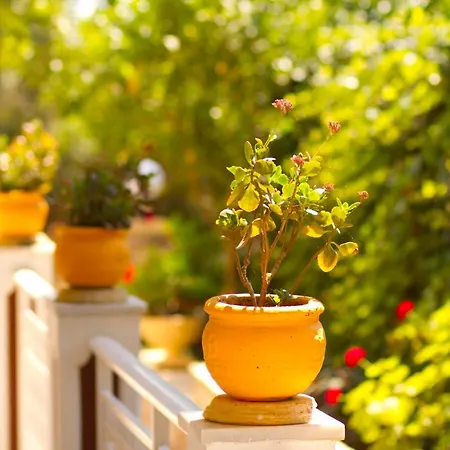 Pyrgaraki Studios&apartments Vasilikí