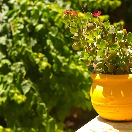 Pyrgaraki Studios&apartments